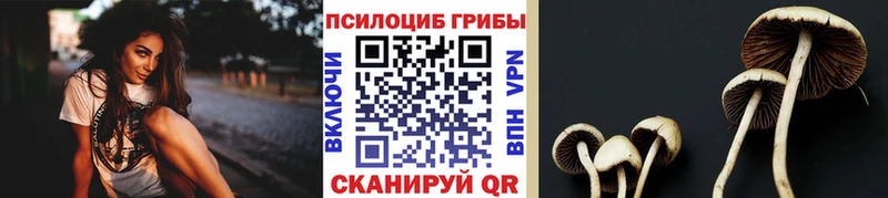 Галлюциногенные грибы мицелий  Покачи 